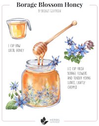 Borage Blossom Honey Recipe