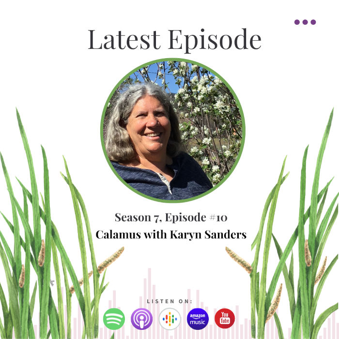 Calamus Benefits with Karyn Sanders