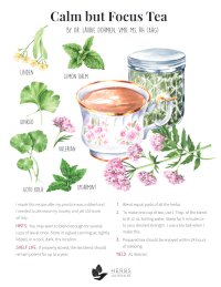 Calm Focus Tea Recipe