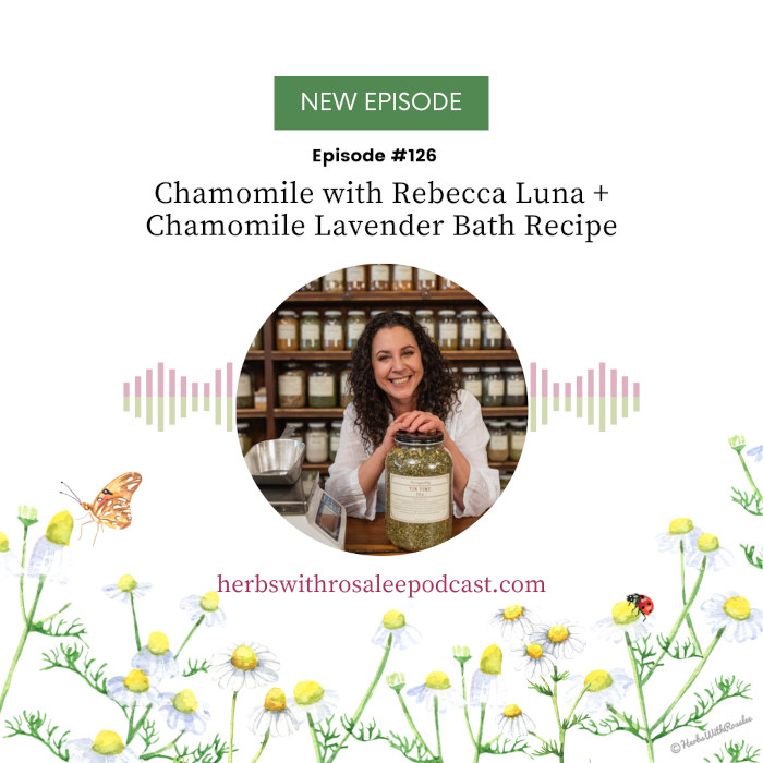 Chamonile with Rebecca Luna