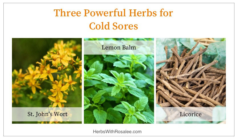 herbs for cold sores