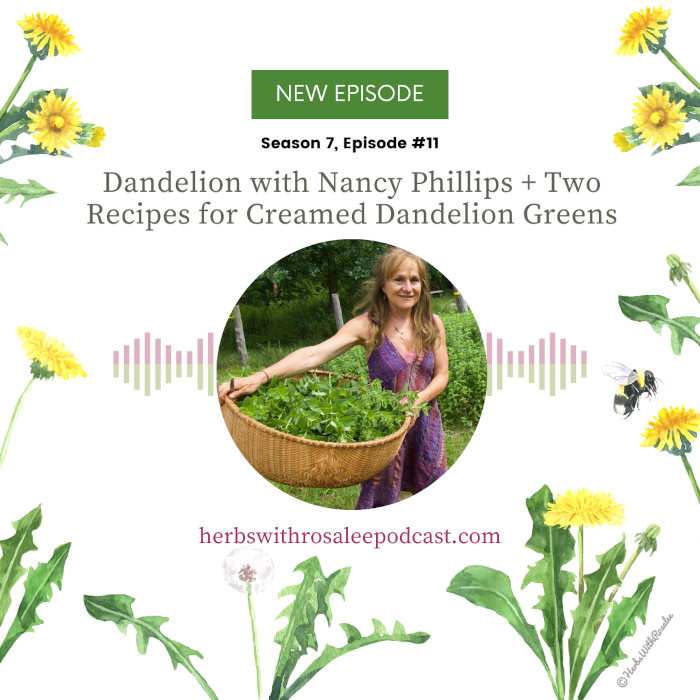 Dandelion with Nancy Phillips