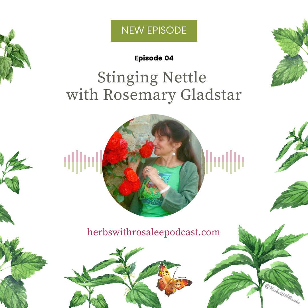 Rosemary gladstar podcast nettle