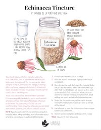 how to make echinacea tincture