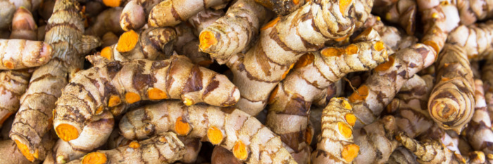 turmeric root