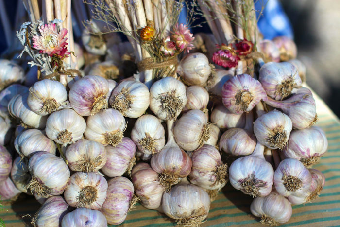 is garlic good for you