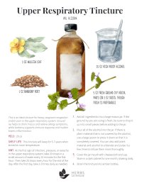 Upper Respiratory Tincture recipe with ground ivy