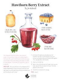 hawthorn berry extract recipe