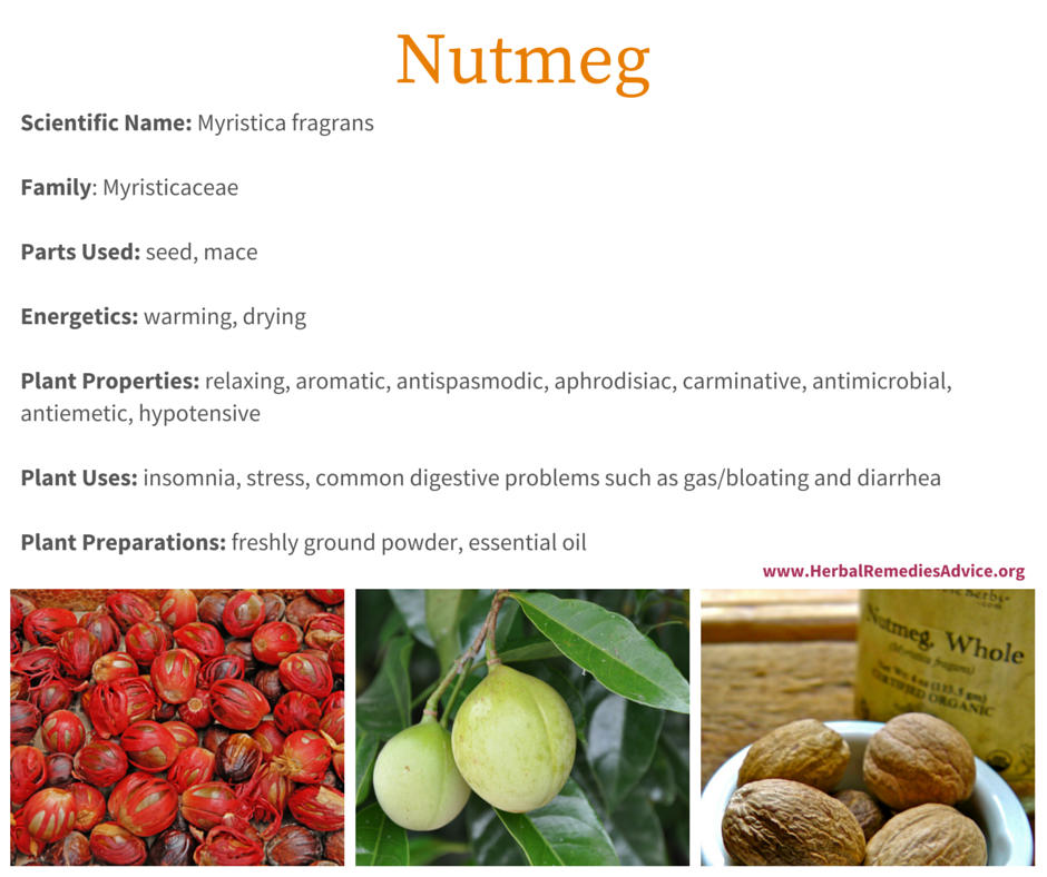 Nutmeg Benefits,Tri Tip Slow Cooker Bbq
