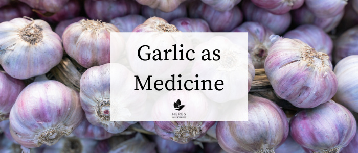 is garlic good for you