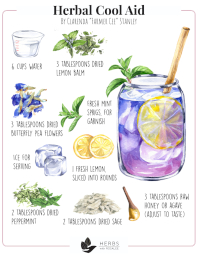 Herbal Coolaid Recipe
