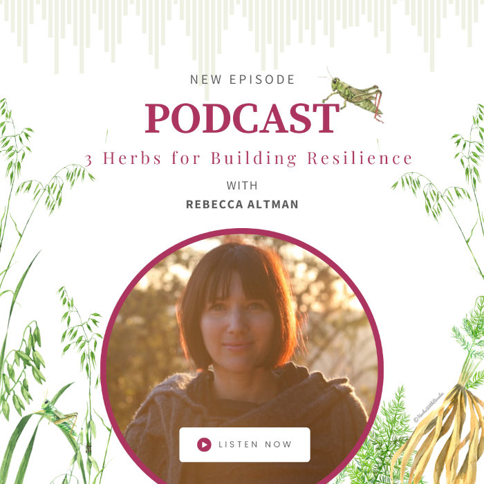 herbs for building resilience