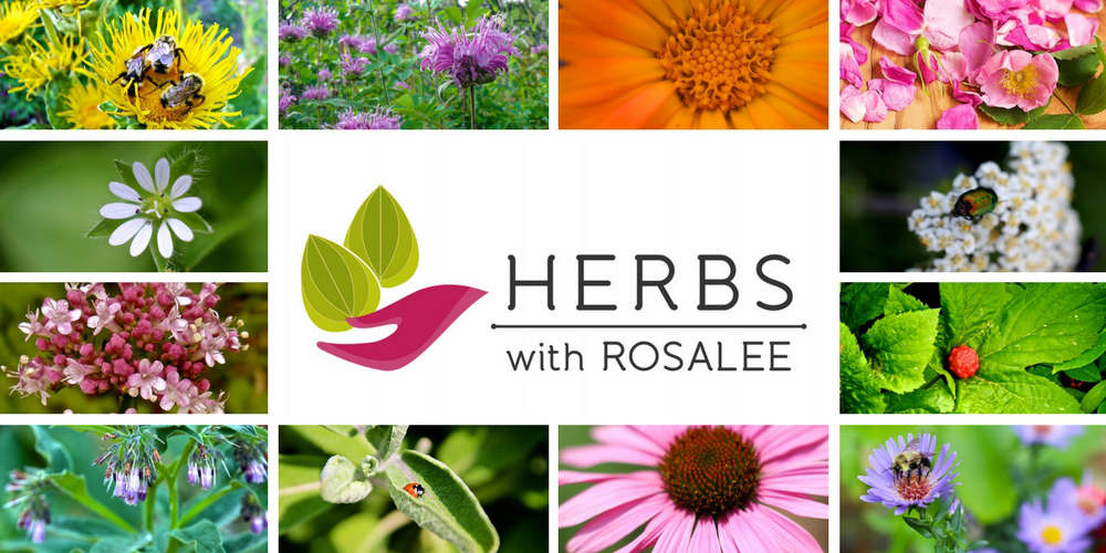 herbs with Rosalee de la Foret