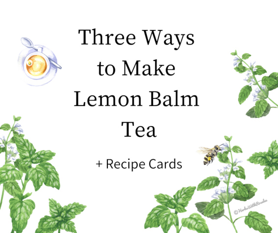 lemon balm recipes