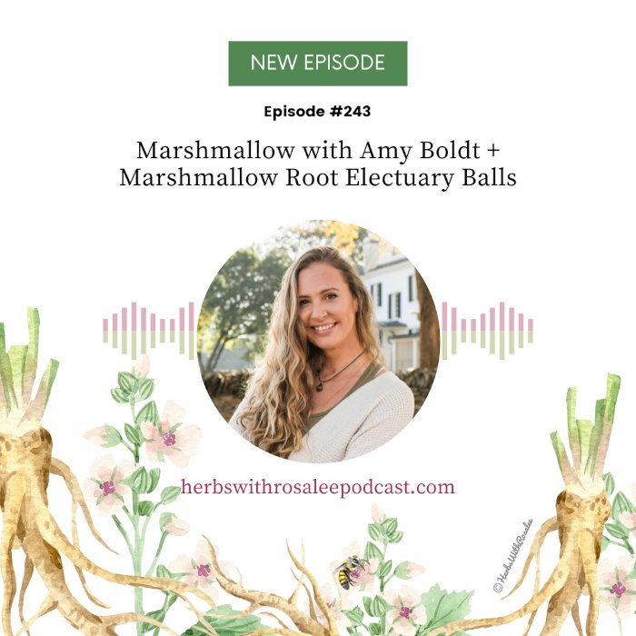 Marshmallow with Amy Boldt