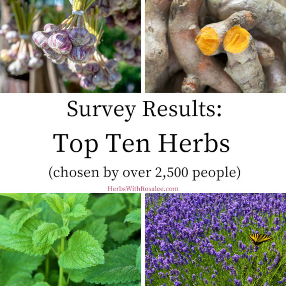 most used herbs most used herbs survey results