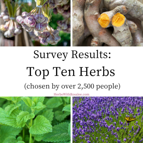 most used herbs survey 2020