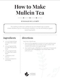 mullein tea recipe