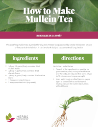 mullein tea recipe