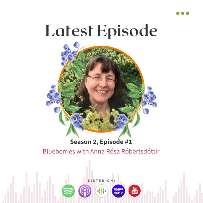Blueberries With Anna Rósa Róbertsdóttir