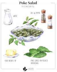 Poke Salad Recipe Poke Salad Recipe