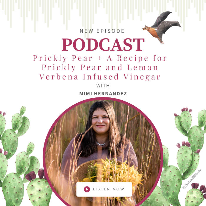 Prickly Pear with Mimi Prunella Hernandez 