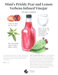 Prickly Pear Vinegar Recipe