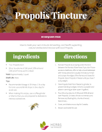 Propolis Tincture Recipe