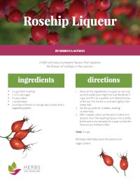 Rosehip Liqueur Recipe