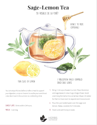 Sage Tea Recipe