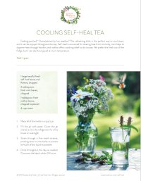 Cooling Self Heal Tea