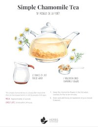 Simple Chamomile Tea Recipe