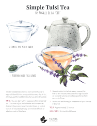 Simple Tulsi Tea Recipe
