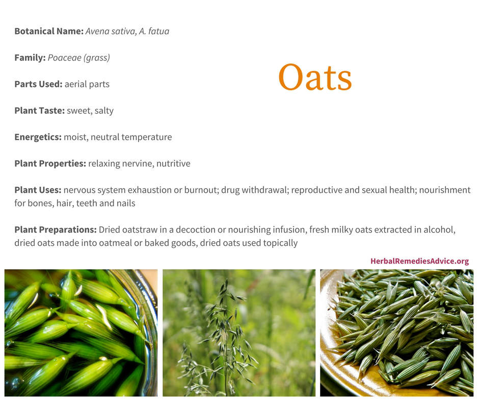 Health Benefits of Oats