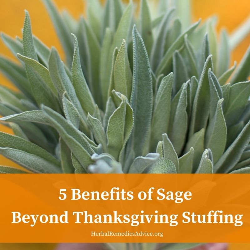 What is sage good for