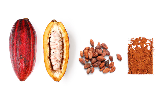 cacao benefits