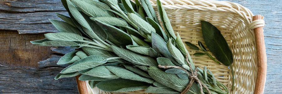 what is sage used for