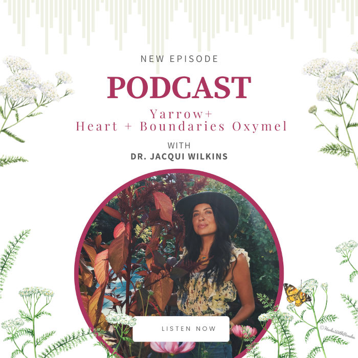 Yarrow with Dr. Jacqui Wilkins